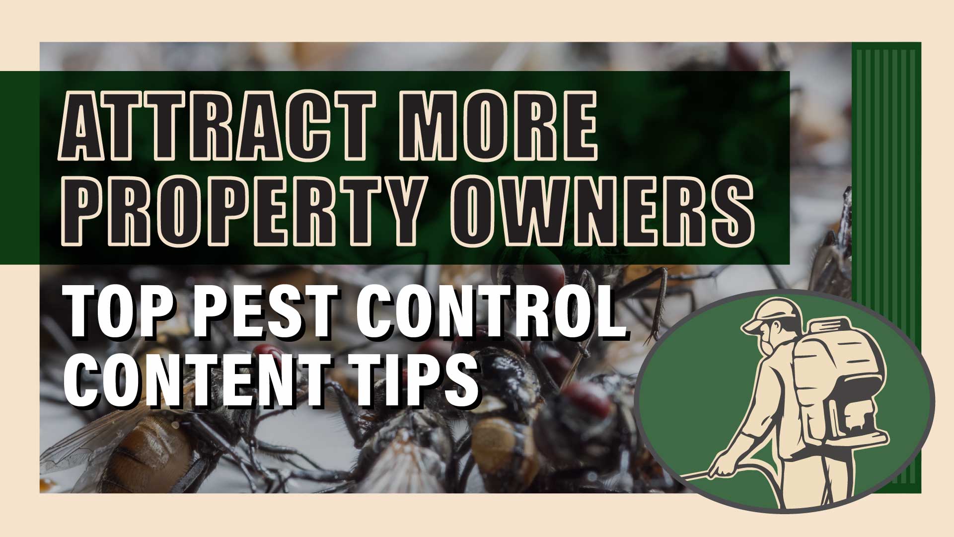 Attract More Clients: Top Pest Control Content Tips