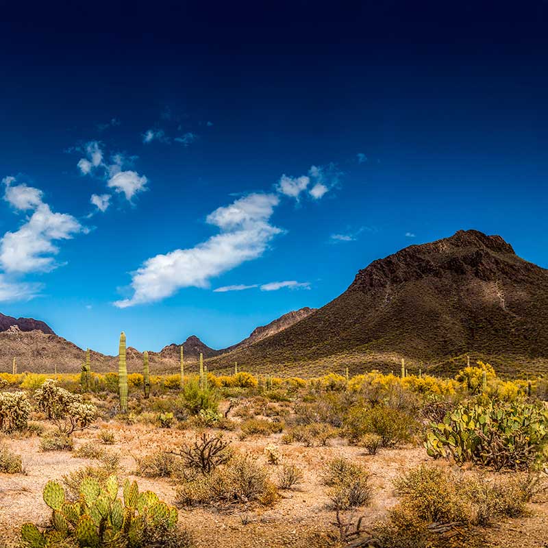 Phoenix, Arizona School Marketing: Attracting More Students image Phoenix, AZ