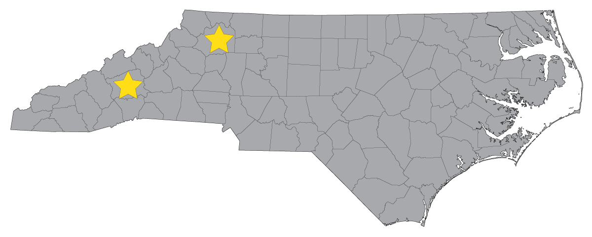Helping Businesses in North Carolina - Offices in Asheville and Wilkesboro