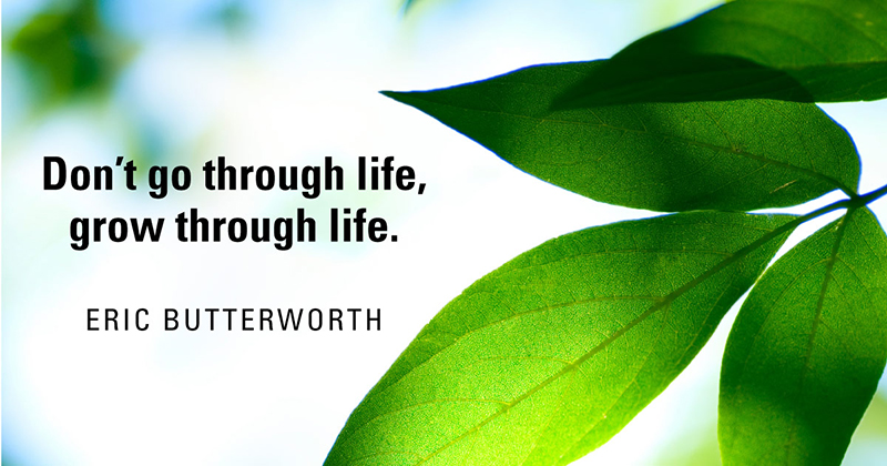 31 Quotes for When Motivation Runs Out image Don’t go through life, grow through life. -Eric Butterworth